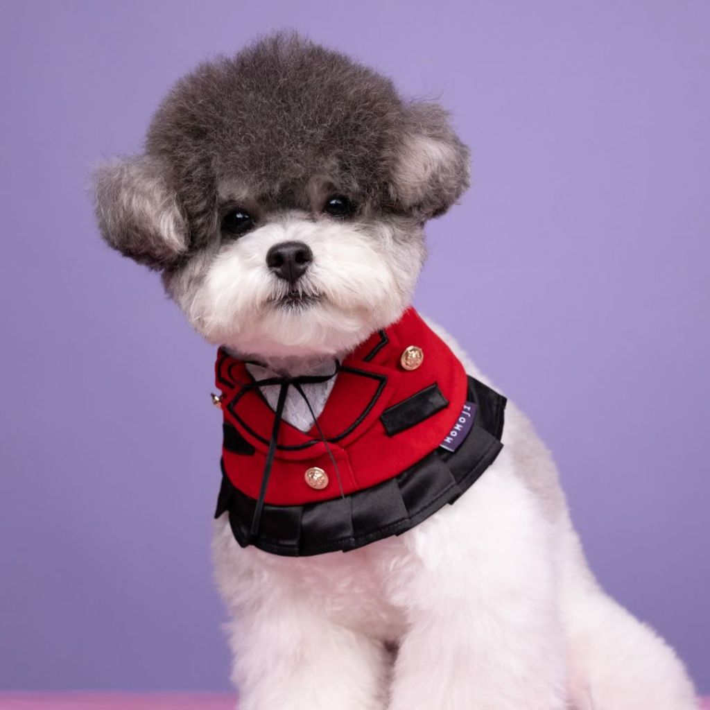 Momoji Jubilee Scarlet Red Pet Bib ชุดสุนัข ชุดแมว