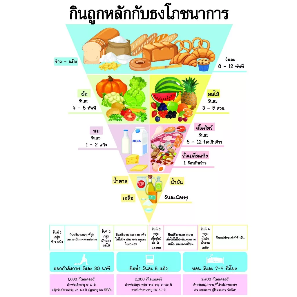 โปสเตอร์ ขนาด 13x19 นิ้ว ธงโภชนา