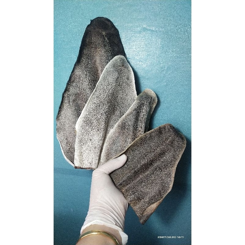 ขนมหมาราคาถูก หูวัวอบแห้ง ขนมน้องหมา dry cow ear ขนมขัดฟันสุนัข หูวัวมีขน