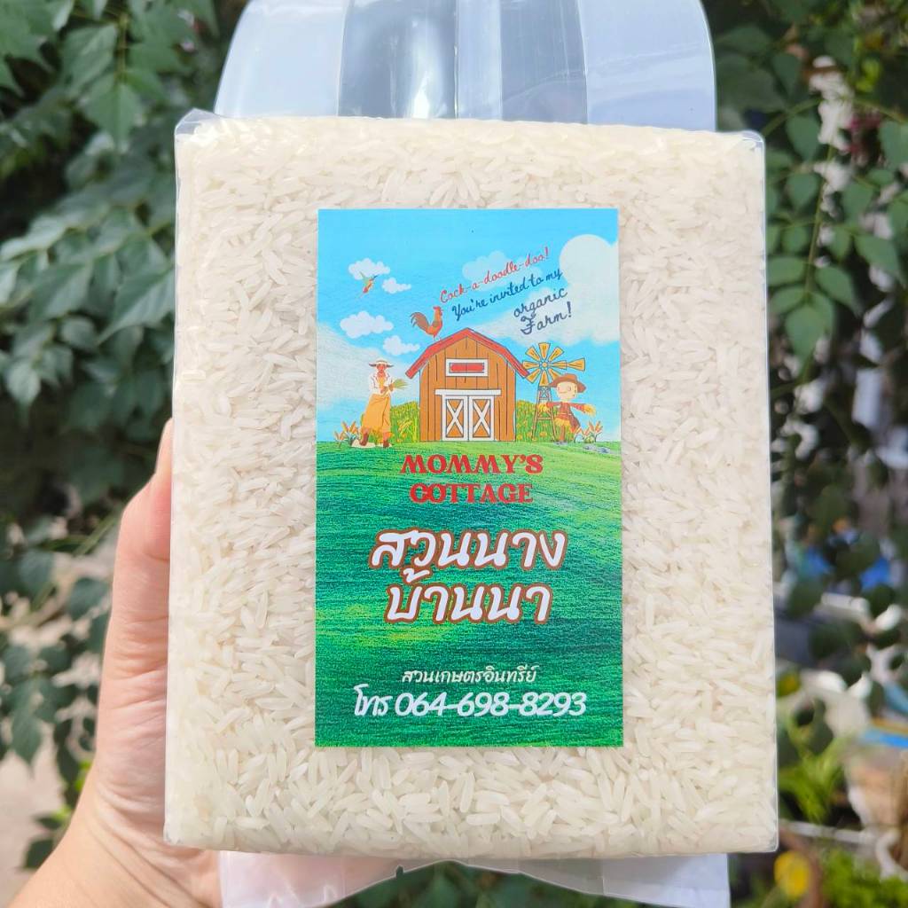 (พร้อมส่ง) ข้าวหอมมะลิ กข105 ข้าวอินทรีย์ ปลอดสารพิษ น้ำหนัก 1 กิโลกรัม