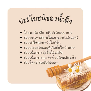 Set 3 ขวด น้ำผึ้งสิงห์ฮันนี่แท้ 100% จากเกสรดอกไม้ป่า (ขวดพลาสติก) ปริมาตรสุทธิ 1,000 กรัม/ขวด