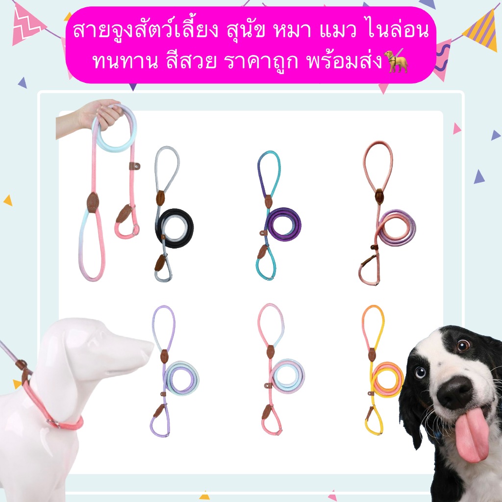 PP-1209 สายจูงสัตว์เลี้ยงสำหรับสุนัขและแมว ผลิตจากผ้าไนล่อนคุณภาพสูง สีสันสดใส