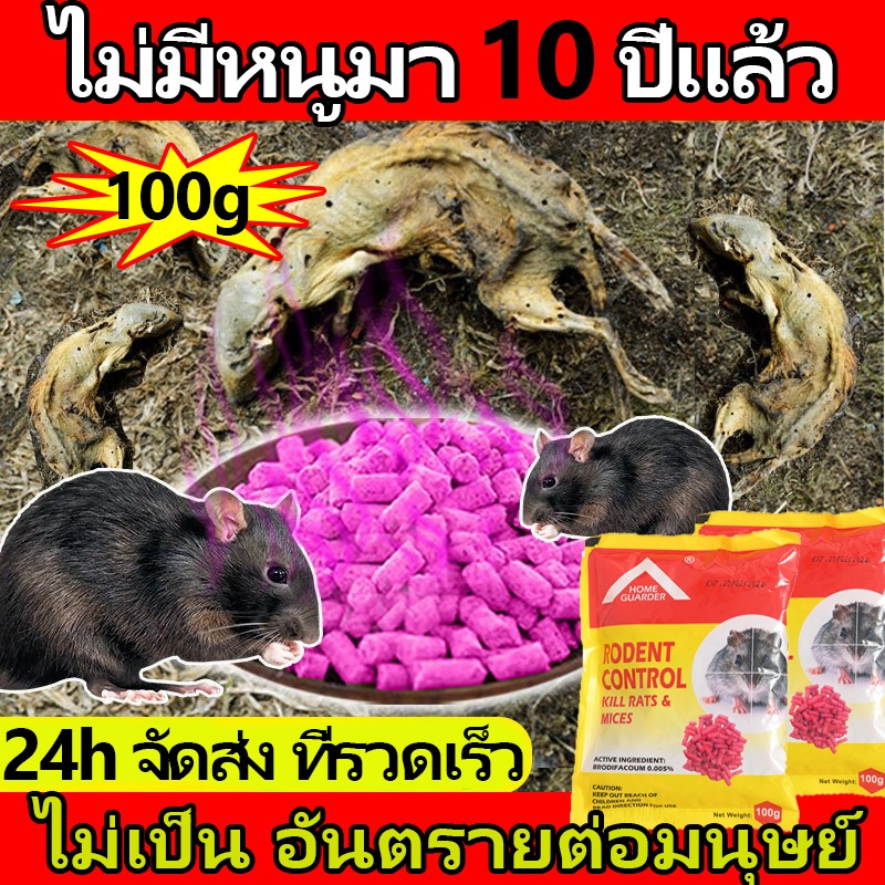 ไม่มีหนูมาตลอดทั้งปี ยาเบื่อหนูแห้ง กำจัดหนู สูตรแห้งเข้มข้นสุด ตายแห้งไม่เหม็น ยากำจัดหนู เหยื่อกำจัดหนู 100%ได้ผล