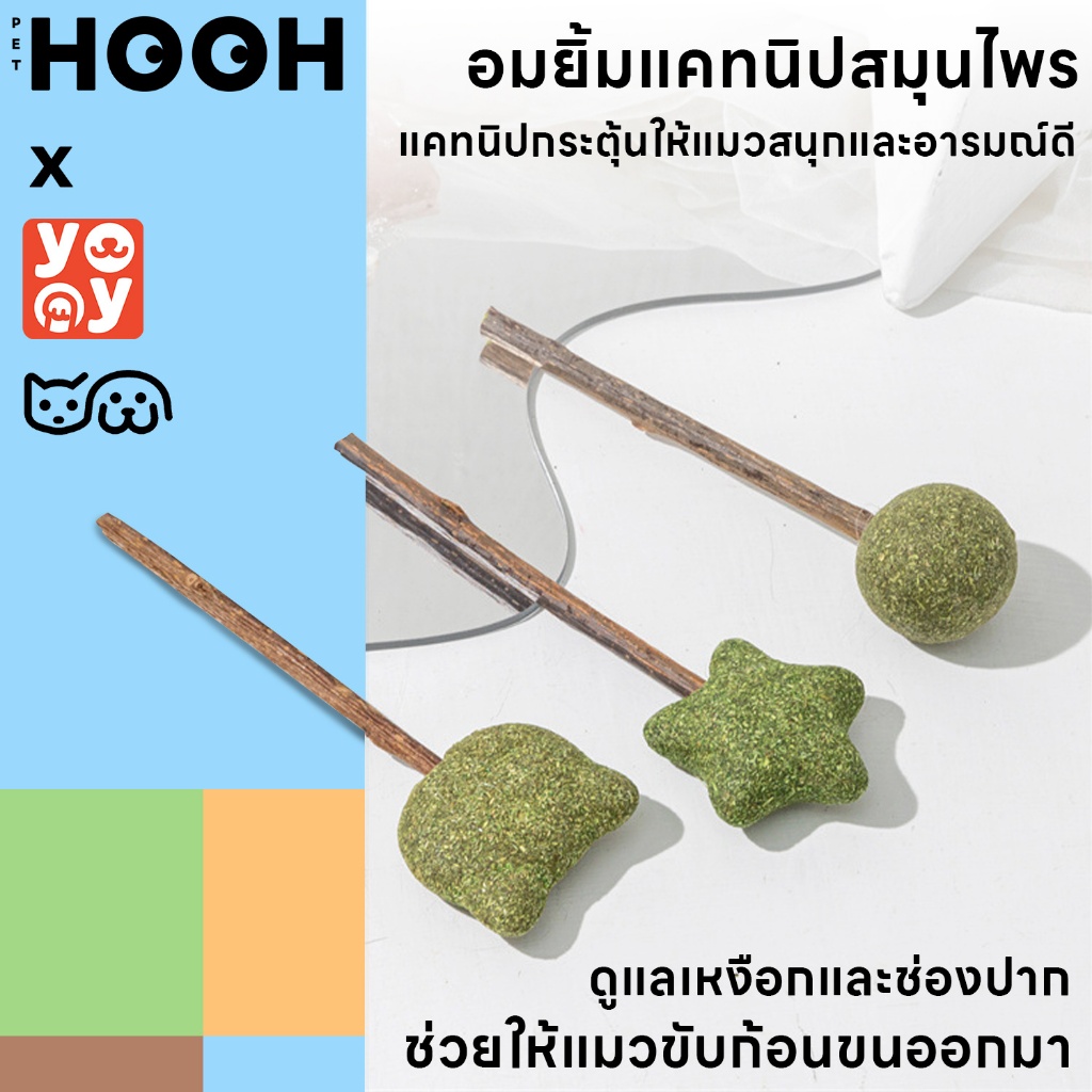 hooh pet Catnip Lollipop อมยิ้มแคทนิปเสียบไม้มาทาบิ สมุนไพรแมวฟิน แคทนิปแมว ของเล่นแมว