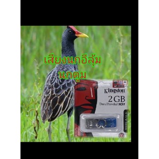 เสียงสำหรับต่อนกตูม(นกอีลู้ม)USB