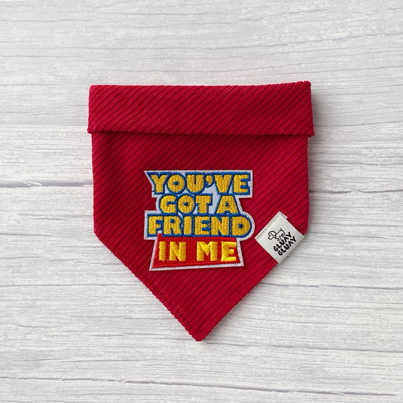 You’ve got a friend in me: ผ้าพันคอหมาแมว ผ้าพันคอสัตว์เลี้ยง