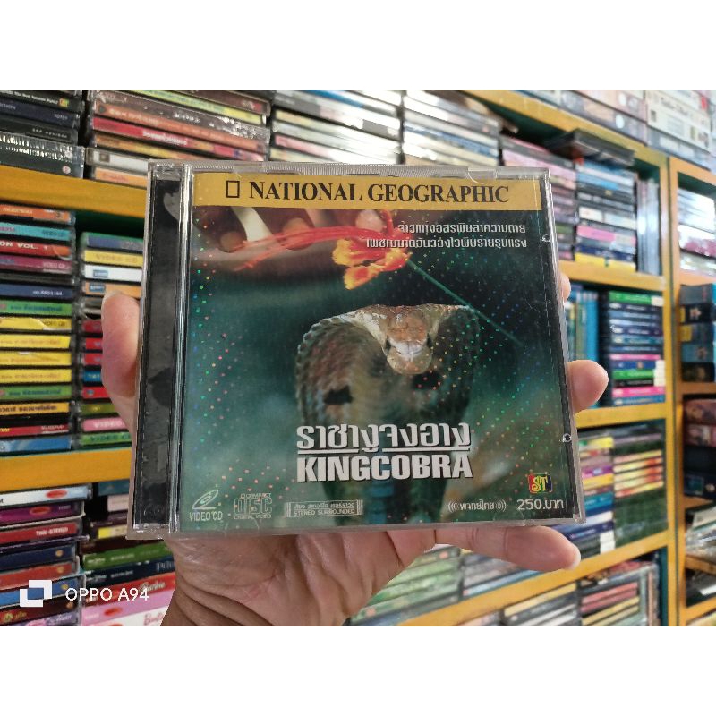 VCD สารคดี ราชางูจงอาง KINGCOBRA ( พากษ์ไทย )