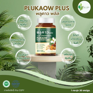ส่งฟรี [1 แถม 1] Plukaow Plus พลูคาว 🌿 สมุนไพรแท้100% ลดคัน เสริมภูมิ ต้านเชื้อ