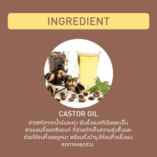 Baby Bright ดินสอเขียนคิ้ว【แฟลตทิป】กันน้ำ เส้นเรียวเล็ก Flat Tip Eyebrow Pencil 0.16g