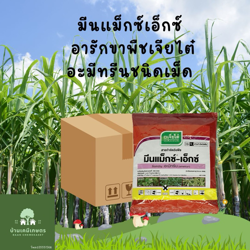 มีนแม็กซ์เอ็กซ์  อะมีทรีนชนิดเม็ด ยกลัง 12 ห่อ เจียไต๋ สารกำจัดวัชพืชในอ้อย