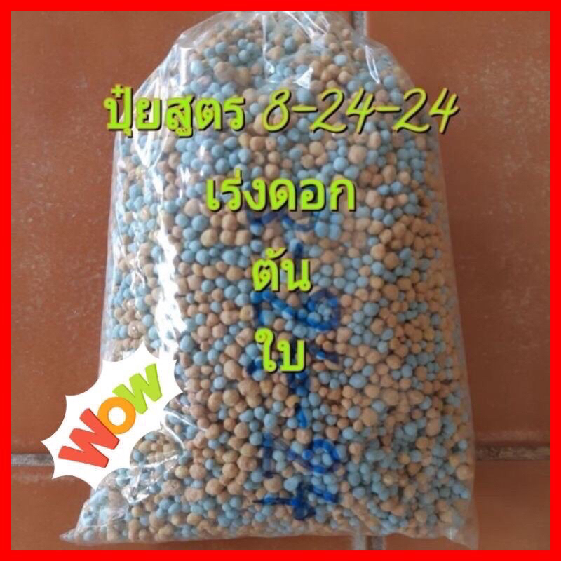 ปุ๋ย เร่งดอก เร่งใบ เร่งต้นงาม