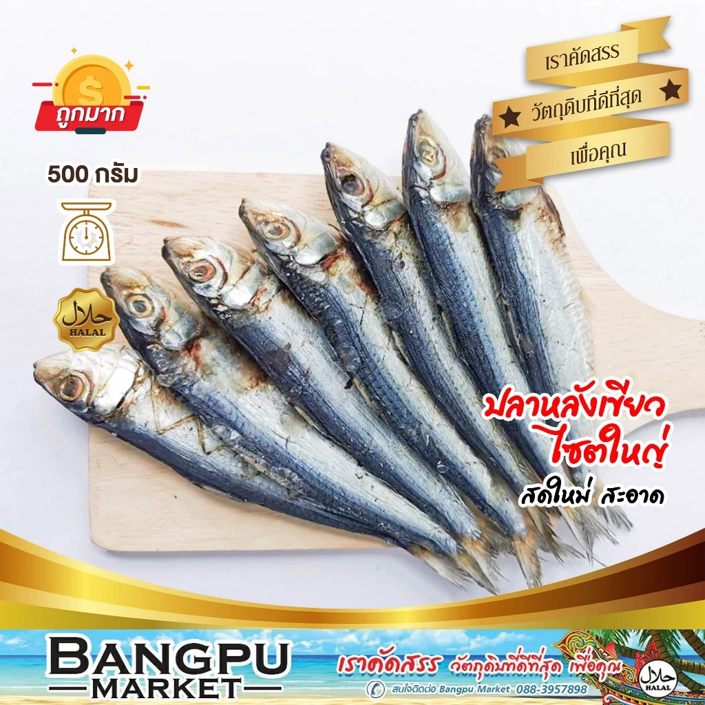 รวมมิตร ปลาทะเลแปรรูป ตากแห้ง ปลากะตัก ปลาข้าวสาร ปลาซิวแก้ว ปลาเกล็ดข้าว ปลาหลังเขียว ปลากระเบนวงปลาแมว Tuyo Dried fish thumbnail 4