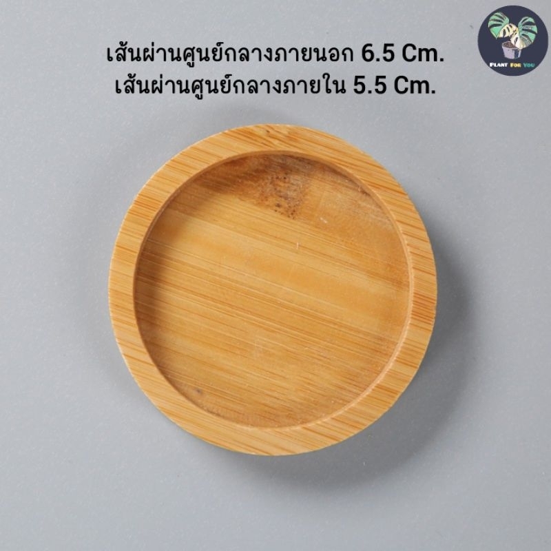 ถาดไม้สำหรับวางแก้วน้ำและวางตกแต่งกระถางต้นไม้ (ไม้เคลือบแล้ว)
