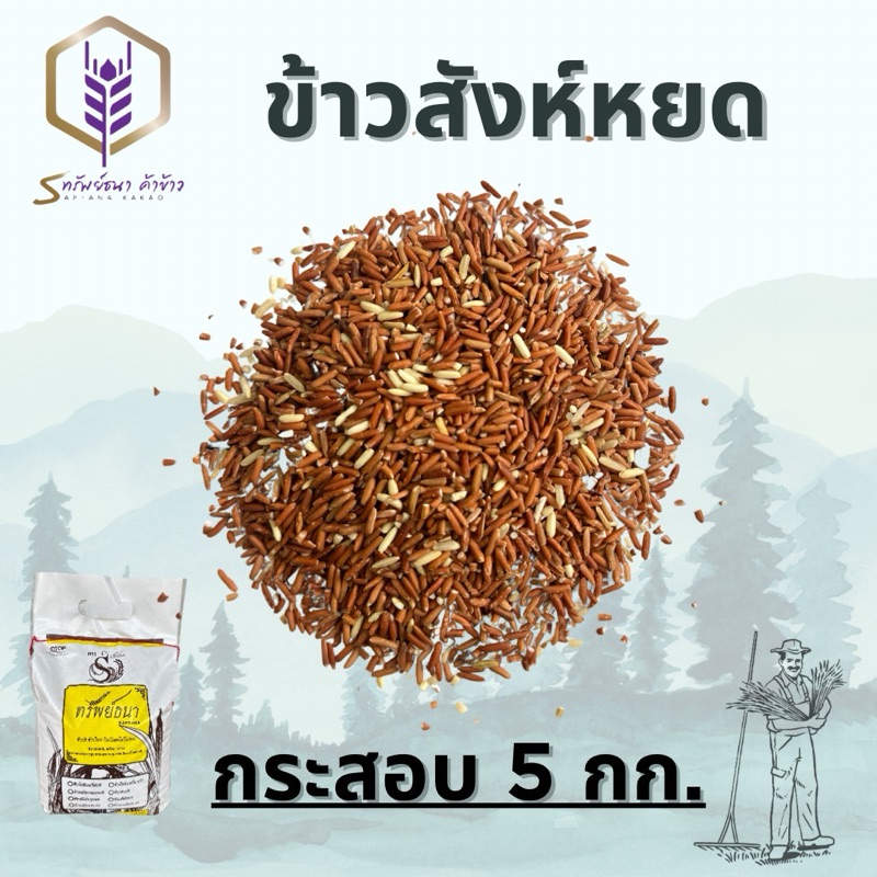 ข้าวสังหยดแพคกระสอบ5กิโลกรัม ตราทรัยพ์ธนา