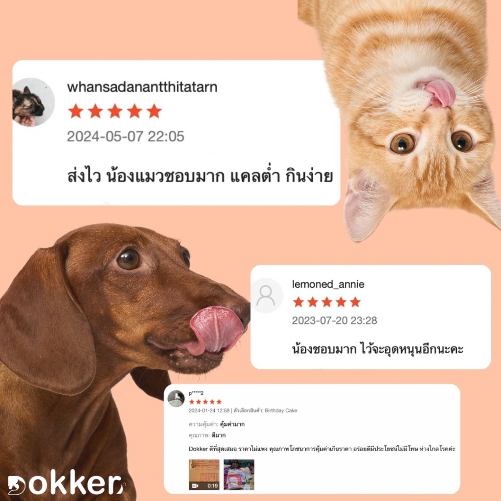 DOKKER Fillet O’ Fish ขนมหมา ขนมแมว รสปลากระพงโรยด้วยผักและผลไม้  ชิ้นเนื้อแท้ๆ 100% ไขมันตํ่า ราคา ถูกที่สุด ดีลบีเคเค แกลเลอรีภาพที่ 4