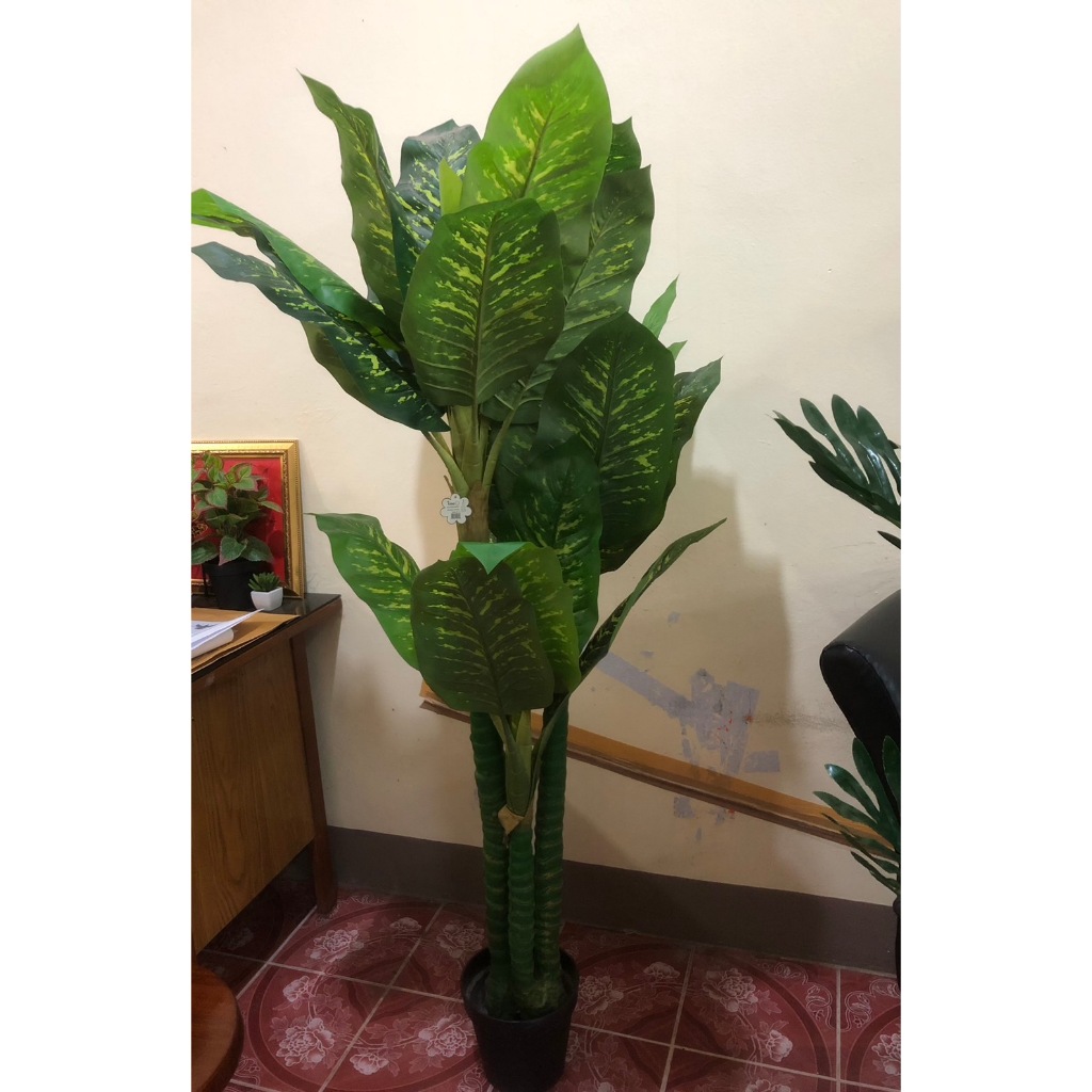 Tree ต้นไม้ปลอม ต้นสาวน้อยปะแป้งสูง 180 เซนติเมตร ของตกแต่งบ้าน ต้นไม้ประดิษฐ์