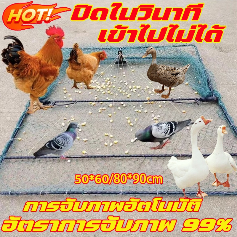 ที่ดักนก กับดักไก่ กับดักไก่ป่า กับดัก โครงเป็นเหล็ก สปริงอย่างดี ตาข่ายในล่อน กับดักตาข่าย