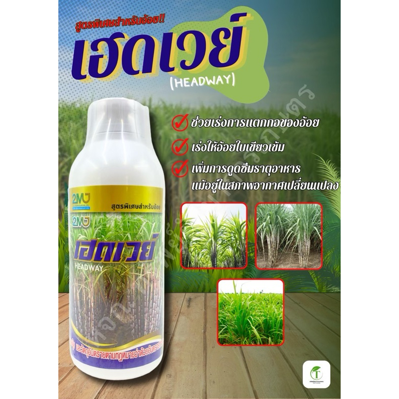 ปุ๋ยน้ำ ฮอร์โมนพืช เฮดเวย์ 1 ลิตร สารอาหารสำหรับอ้อย ช่วงเร่งการเจริญเติบโต ในรูปกรดอะมิโน ช่วยเร่งการแตกกออ้อย