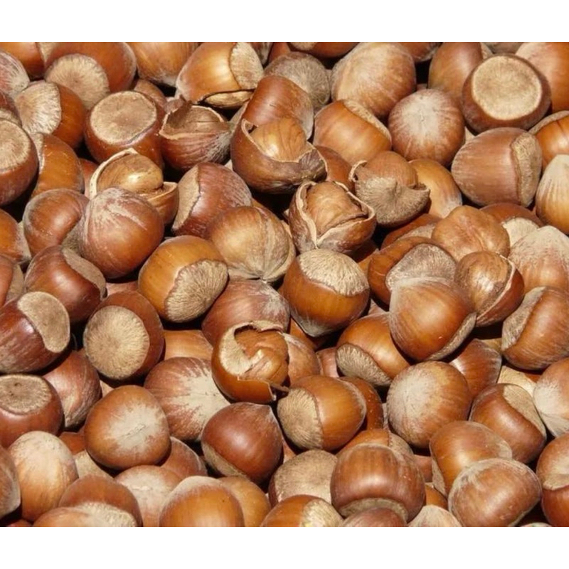 Hazelnut ทั้งเปลือก 500g.