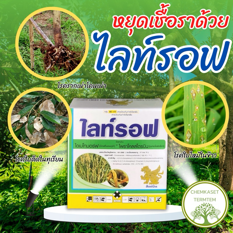 ไลท์รอฟ(ไดเมทโทมอฟ+ไพราโคสโตรบิน) 🥬สารป้องกันกำจัดโรคพืช ใบไหม้ ไฟท็อปธอร่า