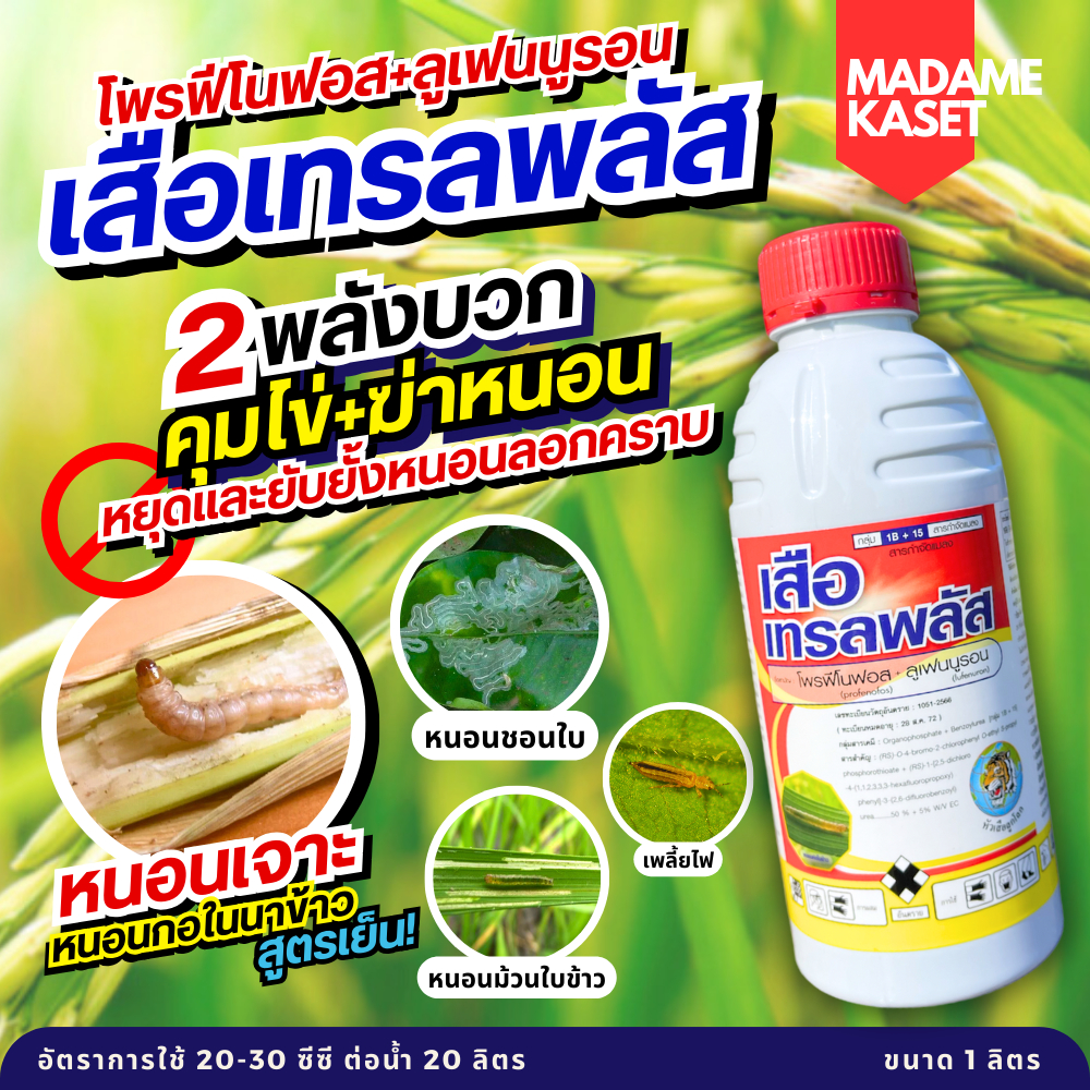 เสือเทรลพลัส (โฟรฟีโนฟอส+ลูเฟนนูรอน) 2พลังบวก คุมไข่+ฆ่าหนอน ป้องกันหนอนลอกคราบ ป้องกันและกำจัดหนอนกอข้าว หนอนห่อใบข้าว