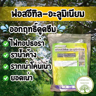 ฟอสอีทิล 80% ตราซิกซ์ตี้ซิกซ์ โรครากเน่าโคนเน่า ผลเน่า โรคไฟท็อปธอร่า โรคราน้ำค้าง โรคราแป้ง