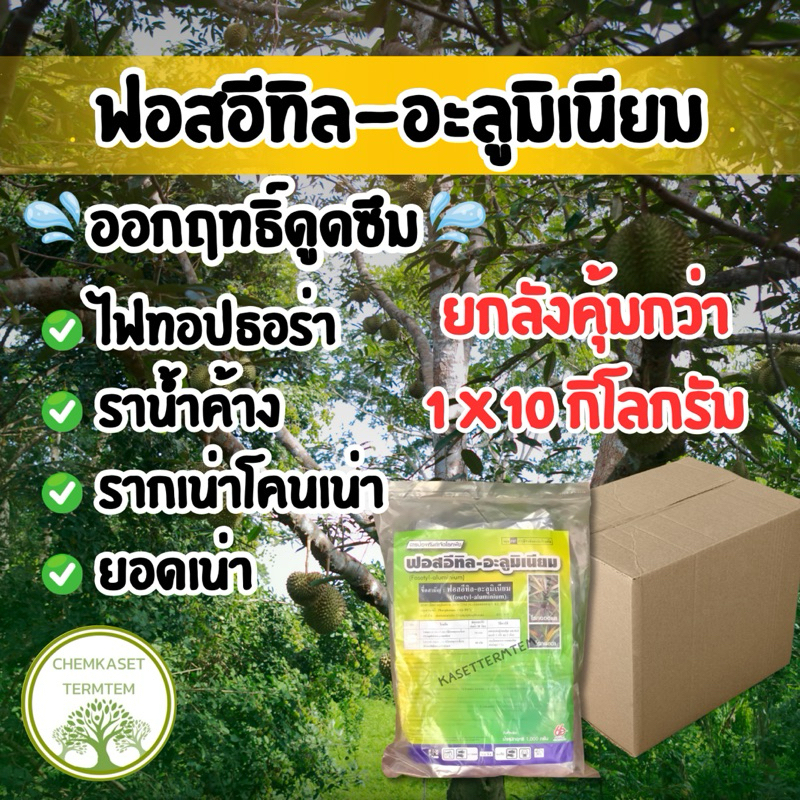 ฟอสอีทิล80%❌ยกลัง❌โรครากเน่าโคนเน่า โรคผลเน่า โรคไฟท็อปธอร่า โรคราน้ำค้าง โรคราแป้ง โรคใบจุดเป็นต้น