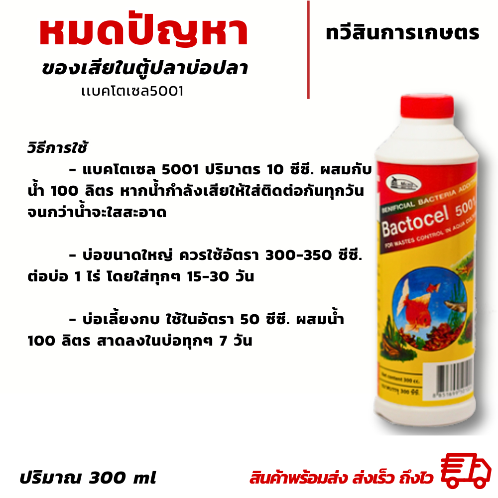 BACTOCEL 5001 300cc จุลินทรีย์น้ำใส ดับกลิ่น รักษาสภาพน้ำ ในบ่อปลา เเบคโตเซล ลดแอมโมเนีย ไนไตร์ท ไนเตรท - รูปที่ 2