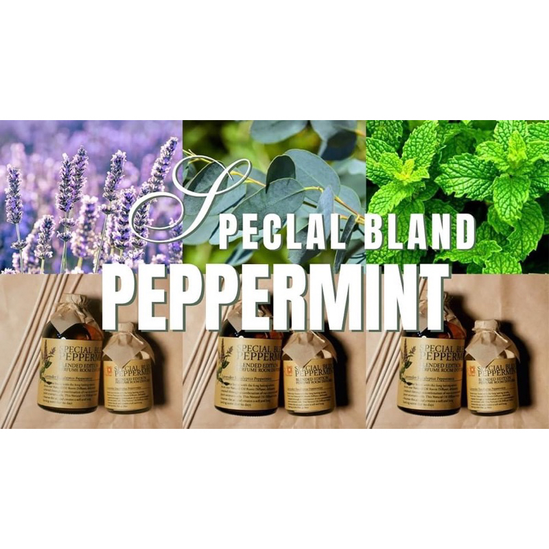 BRUTUS ก้านไม้หอมปรับอากาศ กลิ่น SPECIAL BLEND PEPPERMINT ขนาด 50ML. 100ML.