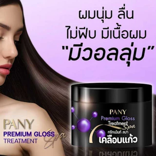 (แพ็คเกจใหม่) Pany Premium Gloss Treatment Spa 300ml. ปานี่ พรีเมี่ยม กลอส ทรีทเม้นท์ สปา เคลือบแก้ว /45221