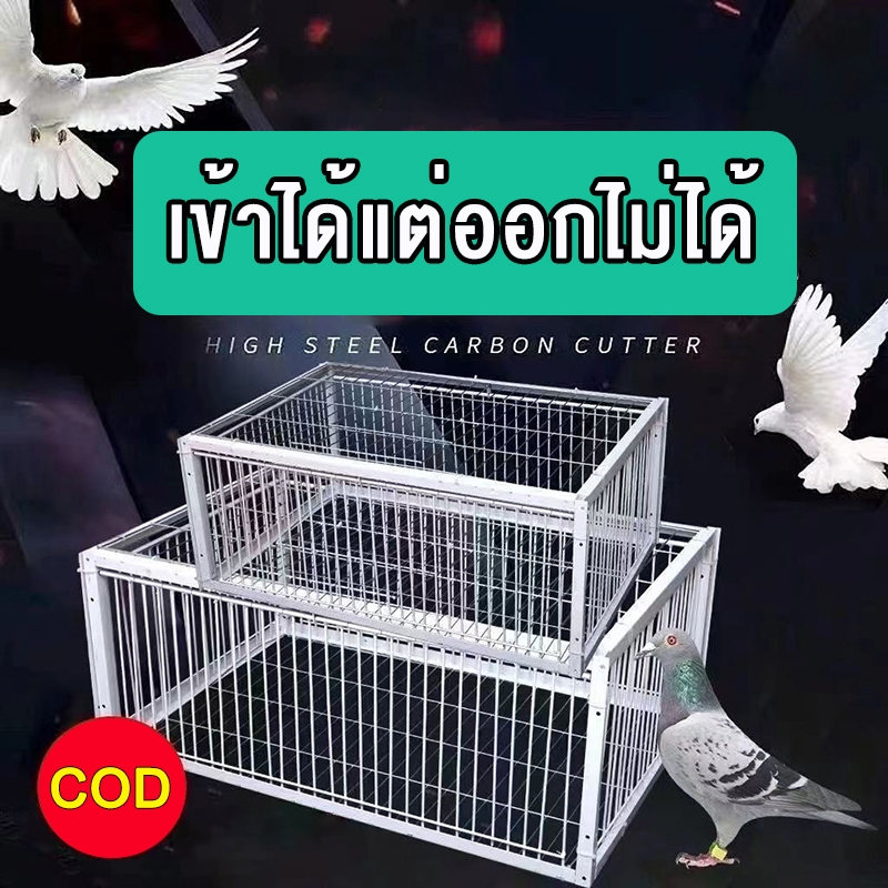 ขนาดใหญ่กรงดักนก  เพนียดดักนก กรงต่อนก กับดักนกพิราบ กรงกับดักนกพิราบ กรงลวดหนาพิเศษ กรงนกทางเดียว นกพิราบกลับเข้าไปในรั
