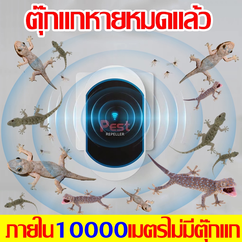ภายใน10000เมตรไม่มีตุ๊กแก ไล่ตุ๊กแก ไล่จิ้งจก ยาไล่จิ้งจก ยาฆ่าตุ๊กแก ขับไล่รอบด้าน 360° กระตุ้นเส้นประสาทตุ๊กแก