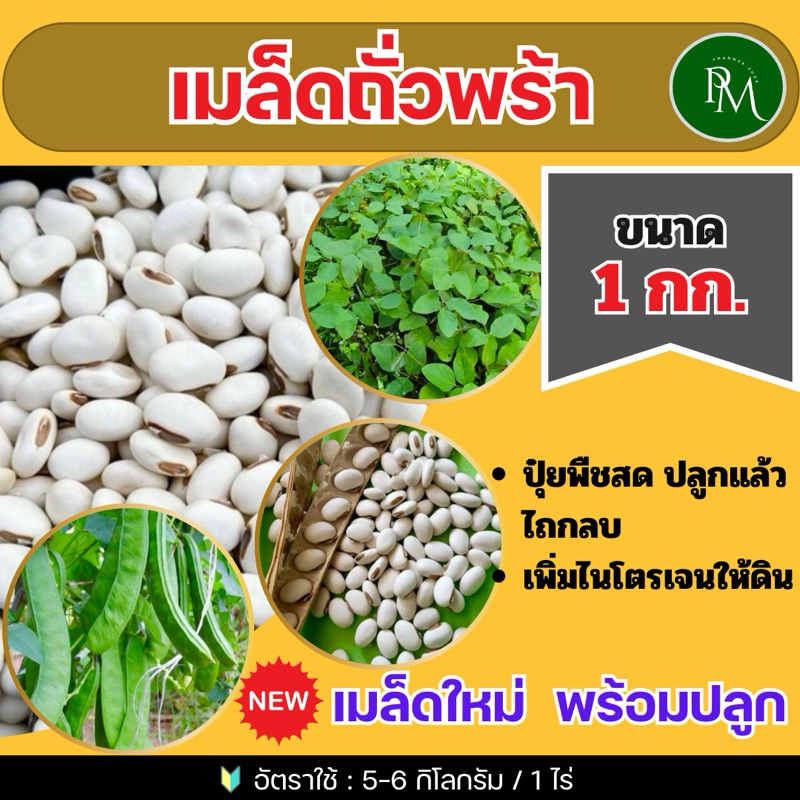 ถั่วพร้า เมล็ดถั่วพร้า 1 กิโลกรัม(รับประกันการงอก)