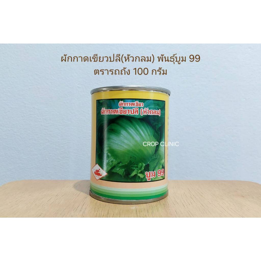เมล็ดพันธุ์ผักกาดเขียวปลี (หัวกลม) พันธุ์บูม 99 ตรารถถัง ขนาด 100 กรัม