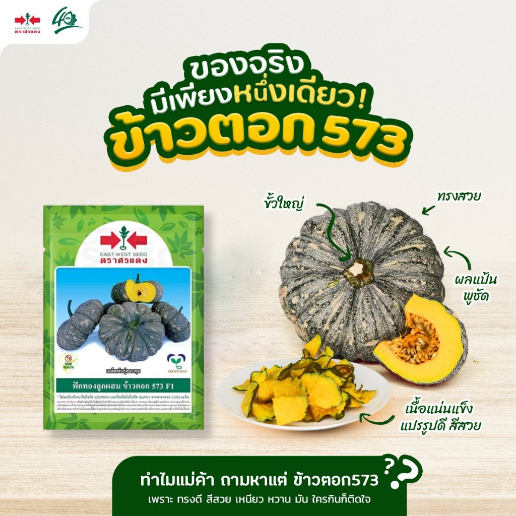 เมล็ดฟักทอง ข้าวตอก 573 F1 ตราศรแดง เมล็ดฟักทองลายข้าวตอก เมล็ดพันธุ์ฟักทอง เมล็ดพันธุ์ผัก เมล็ดผักสวนครัว