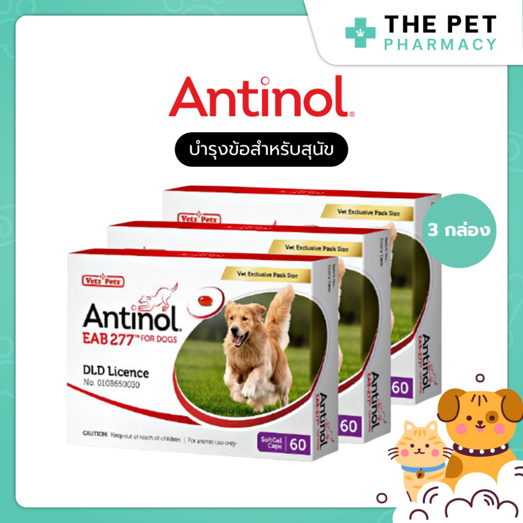 Antinol Dog ช่วยบำรุงข้อ กระดูก ขน ผิวหนัง และไต (บรรจุ 180 เม็ด)(3 กล่อง)