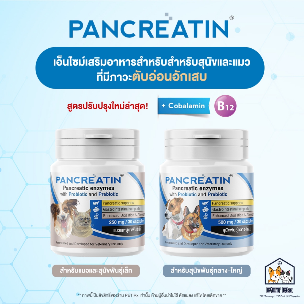 Pancreatin [แท้💯] ผลิตภัณฑ์เอ็นไซม์เสริมอาหาร สำหรับสุนัขและแมวที่มีภาวะตับอ่อนอักเสบ (แพนครีเอทิน) 