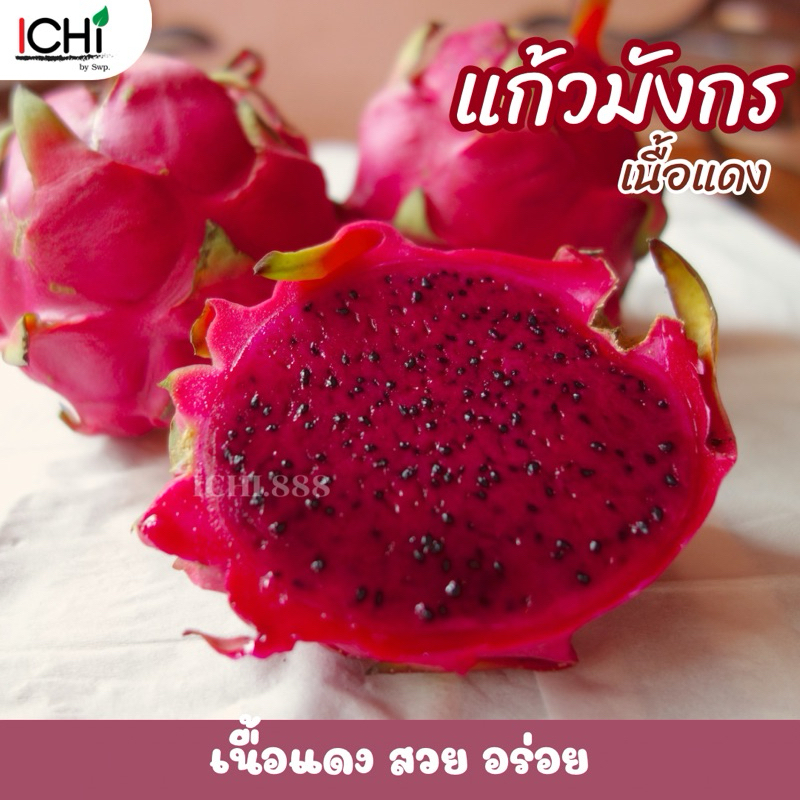 แก้วมังกรเนื้อแดง นำเข้าจากเวียดนาม
