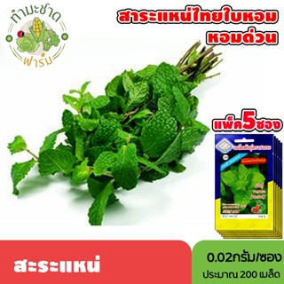 [แพ็ค 5 ซอง] 3A เมล็ดพันธุ์ สะระแหน่ ขนาดซองละ0.02กรัม ประมา…