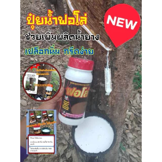 ปุ๋ยน้ำฟอโล่ 6ขวด ฟื้นฟูยางตายนึ่ง เปลือกนิ่มกรีดง่าย น้ำยางเพิ่มขึ้น หน้ายางไม่ดำ ป้องกันโรคราดำ