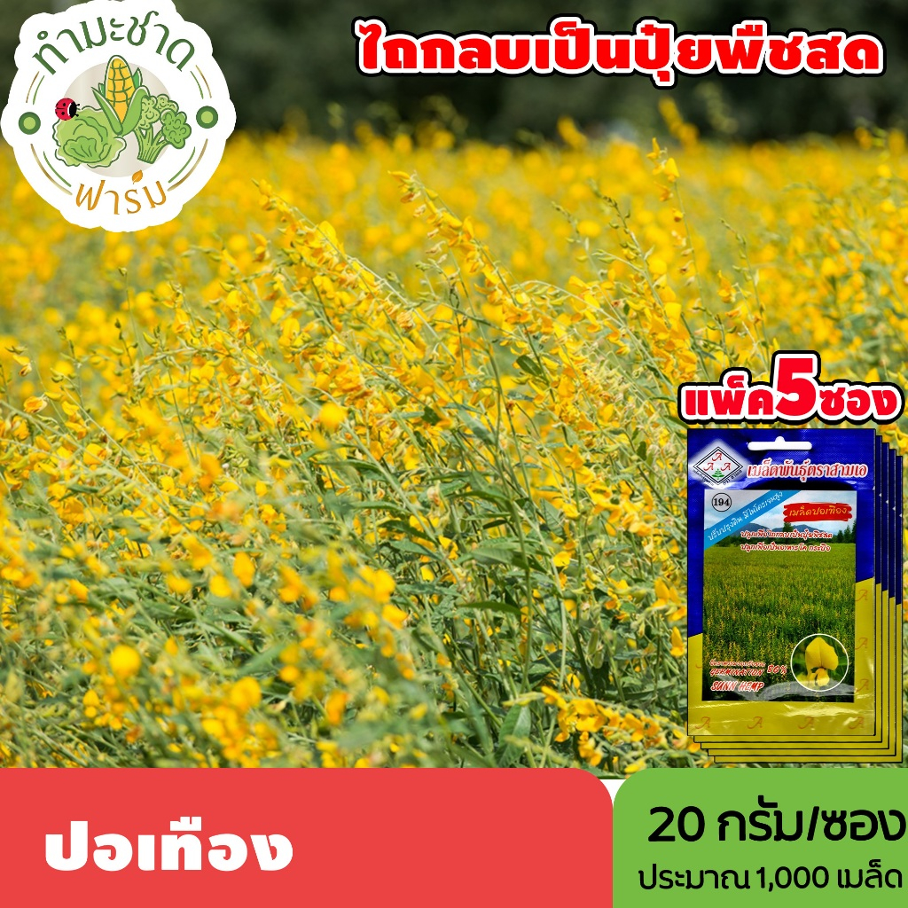 [แพ็ค 5 ซอง] 3A เมล็ดพันธุ์ ปอเทือง ขนาดซองละ20กรัม ประมาณ1,000เมล็ด/ซอง SUNN HEMP คำบูชา เทือง บัวสา เมล็ดพันธุ์พืช