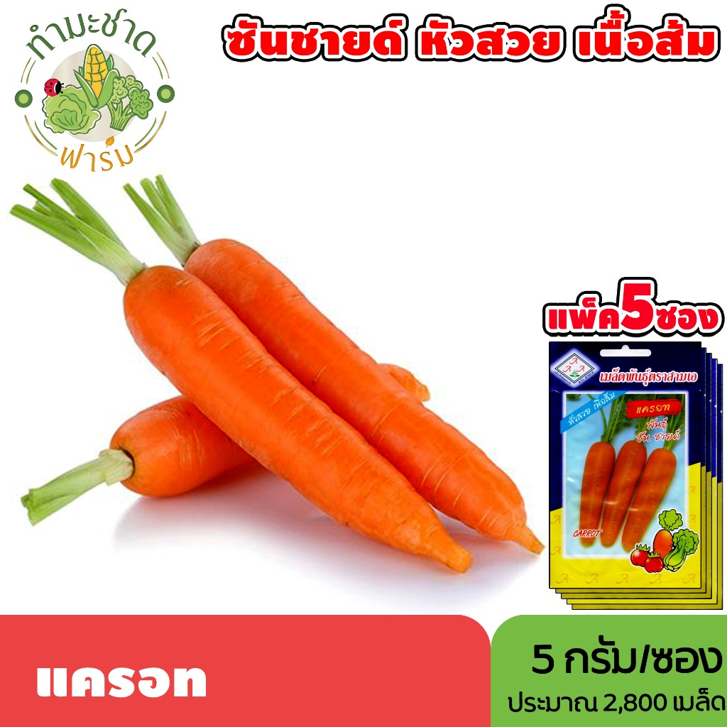 [แพ็ค 5 ซอง] 3A เมล็ดพันธุ์ แครอท ขนาดซองละ5กรัม ประมาณ2,800เมล็ด/ซอง CARROT แครอต เมล็ดพันธุ์พืช เมล็ดผัก ปลูกผักสวน
