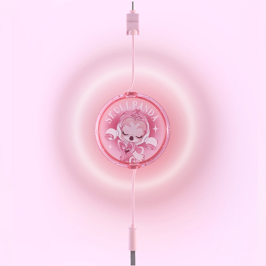 SKULLPANDA THE SOUND CABLE สายชาร์จ กล่องสุ่ม ลุ้น SECRET [POP MART]