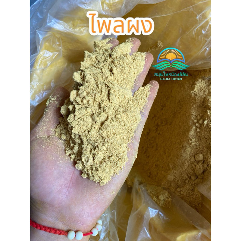 ไพลผง ผงไพลเกรดAแท้100% สมุนไพรไพล