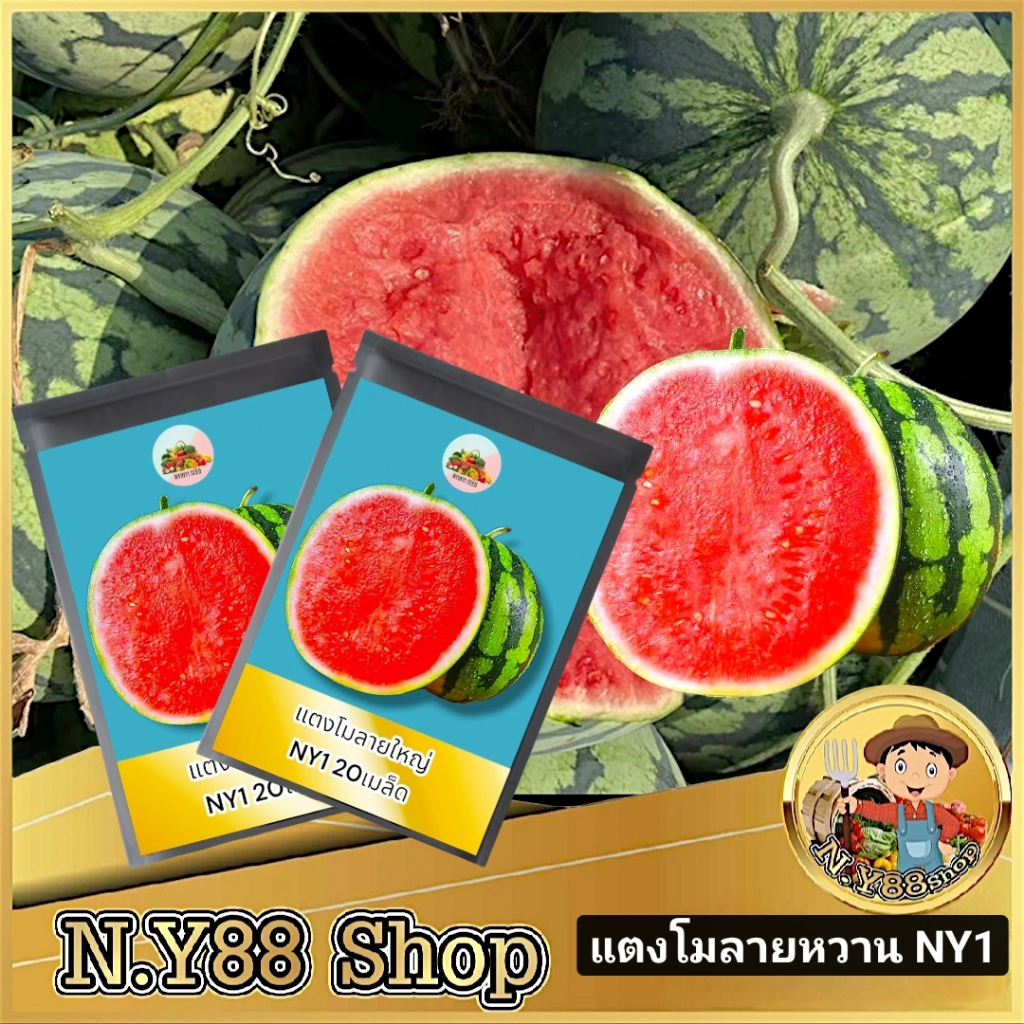 5แถม1 เมล็ดพันธุ์แตงโมลายใหญ่ NY1 20เมล็ด เมล็ดพันธุ์แตงโมคัดพิเศษ เมล็ดพันธุ์แตงโมลาย เมล็ดพันธุ์แท้ อัตราการงอกสูง