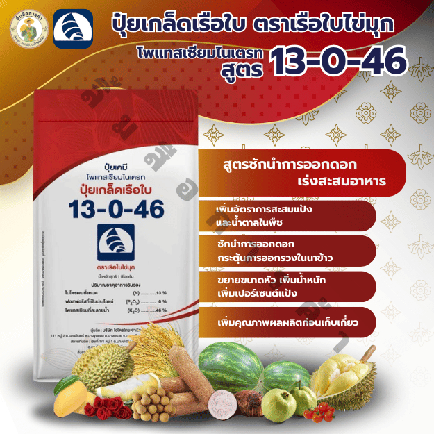 ปุ๋ยเรือใบ สูตร 13-0-46 ปุ๋ยน้ำละลายง่าย เหมาะสำหรับผลไม้และผัก ขนาด 1 กก.