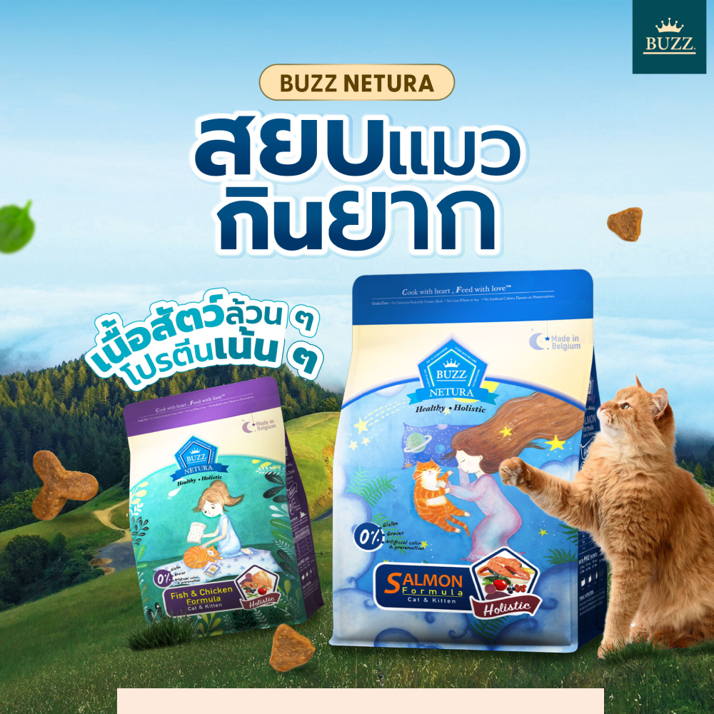 รูปภาพ 2