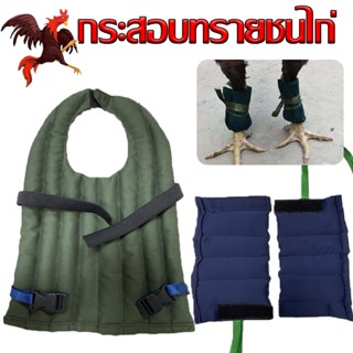 ฝึกไก่ชน กระสอบทรายฝึกชนไก่ กระสอบทรายขา กระสอบทรายหลังไก่ชน…