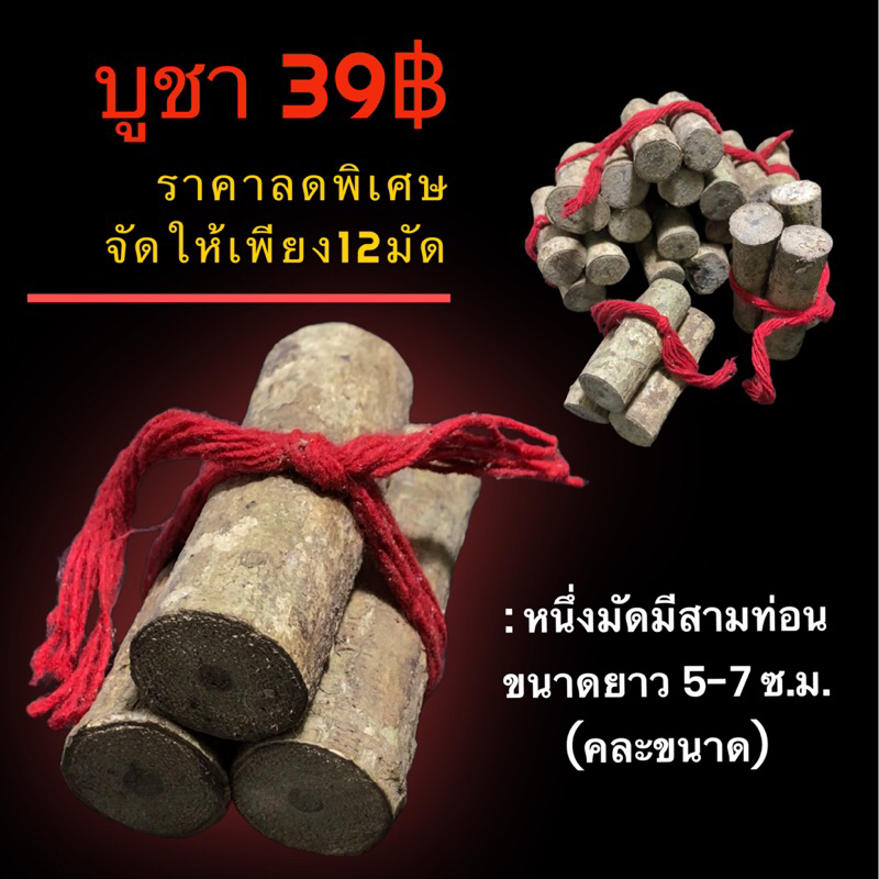 ไม้ชองระอาหรือพระยาปล้องทอง(จัดราคาลดพิเศษ)เครื่องรางของขลังป้องกันภูติผีปีศาจคุไสย์มนต์ดำ