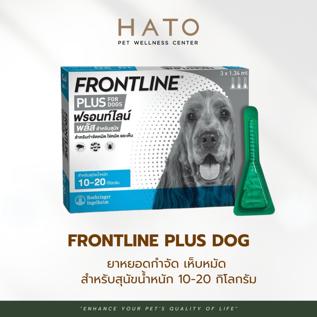 FRONTLINE PLUS DOG Size M (10-20 kg) ฟรอนท์ไลน์ พลัส ยาหยดกำจัดเห็บหมัด สำหรับสุนัข 1 กล่อง (3หลอด)